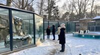 winter exhibit opening hours