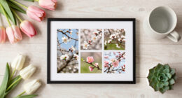 12 Best Spring-Themed Digital Photo Frames in 2026