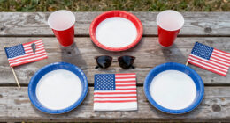 14 Best Patriotic Outdoor Party Supplies in 2026